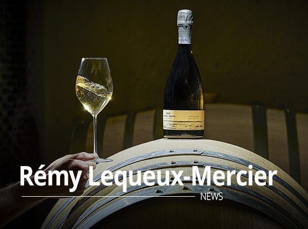 Champagne Remy Lequeux Mercier