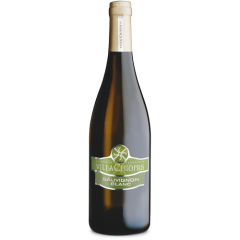 Sauvignon Blanc - Azienda Agricola Livon - 2020 - 75 cl