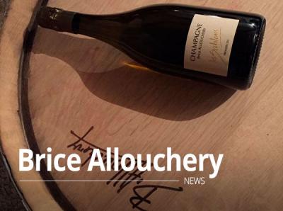 Champagne Brice Allouchery 