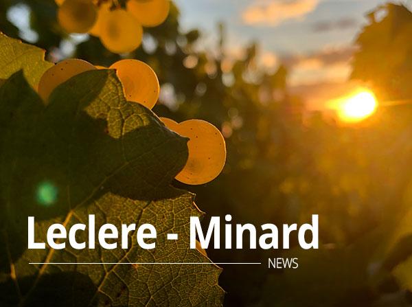 Champagne Leclere-Minard