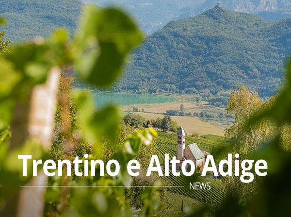 Vini del Trentino e Alto Adige