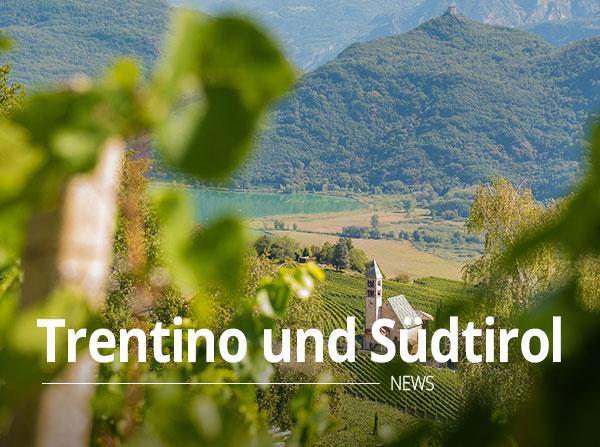 Entdecken Sie die Weine des Trentino und Südtirol