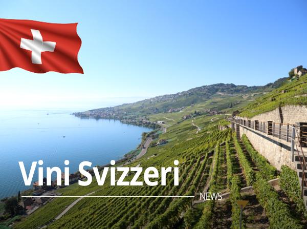 Le eccellenze vitivinicole svizzere: qualità e rarità